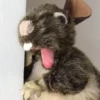 Rata triste de TikTok Meme😞🐭🐁 6