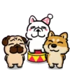 Doca Dogs Day 12