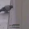🐦 PALOMA MIGAJERA BAILANDO🐦 12