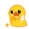 duck 2 mov 12