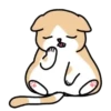🐱🐈 CrEaM CaT 🐈🐱  (Mov) 17