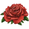 FLORES 15
