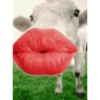 🫦💋🤣Mordiendose el dedo - GIF 15