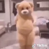 Gatitos 8