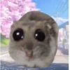 Rata triste de TikTok Meme😞🐭🐁 8