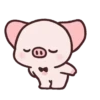 Pig Pei Pei 8