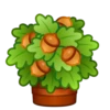 bouquet mov 11