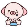 Pig Pei Pei 9