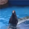 MIX Tiktok 📽️ 9