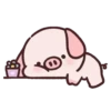Pig Pei Pei 10