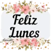 BUEN DÍA😎☀️🦋🌹 17