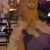 Gatitos 9