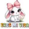 Linda conejita🎀💞1🇵🇪Movi 17