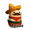 Viva México Flork 🇲🇽 12