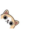 🐱🐈 CrEaM CaT 🐈🐱  (Mov) 22