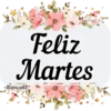 BUEN DÍA😎☀️🦋🌹 19
