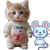 ABC(El Gato y el Ratón)💞1🇵🇪Movi 18