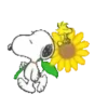Snoopy en primavera 🌺🌻 7