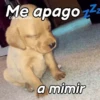 A mimir Zzz Perros 🐶😴 9