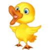 DUCKLINGS 19