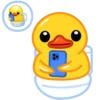 duck 2 mov 18