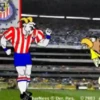 amor por el futbol 14