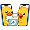 duck 2 mov 19