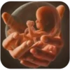 Amor Maternal💕💞2🇵🇪Movi 23