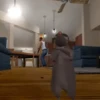 🐭 ratón Milton 🐀 Bailando 🪩 12