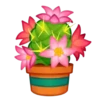 bouquet 2 mov 12