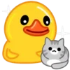 duck 2 mov 21