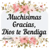 BUEN DÍA😎☀️🦋🌹 22