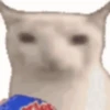 random-gifs 14