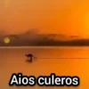 🦘 Canguro Tiktok 🔥 10