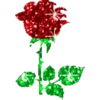FLORES 22