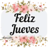 BUEN DÍA😎☀️🦋🌹 24