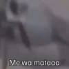 🐦 PALOMA MIGAJERA BAILANDO🐦 8