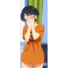 animes mvis 26
