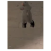 Rata bailando 🐀 10