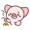 Pig Pei Pei 17