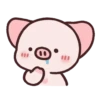Pig Pei Pei 18