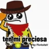 varios mov FLORK 🪄 16