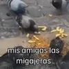 🐦 PALOMA MIGAJERA BAILANDO🐦 5