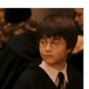 Harry Potter ⚡️🪄 13