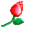 FLORES 24