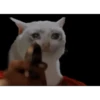बिल्लियाँ डिप्रेशन ठीक करती हैं 🐈 एनिमेटेड 5