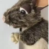 Rata triste de TikTok Meme😞🐭🐁 12