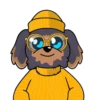 dogs mov 10