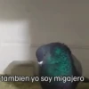 🐦 PALOMA MIGAJERA BAILANDO🐦 10