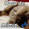 A mimir Zzz Perros 🐶😴 12